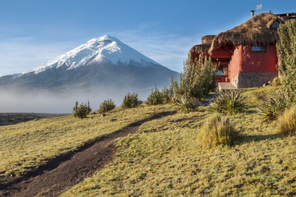 Tambopaxi